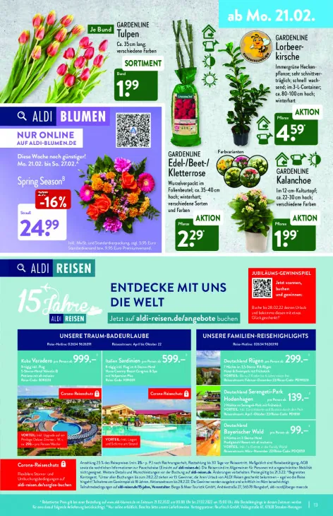 Edel-/Beet-/Kletterrose