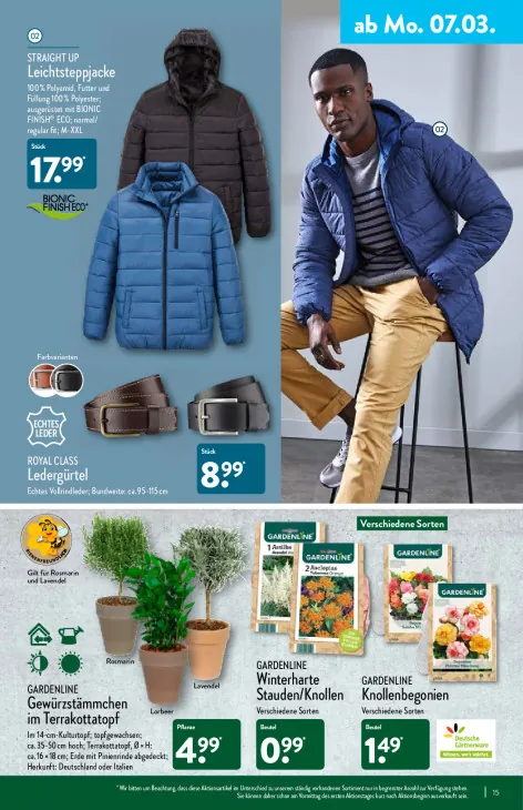 Gewürzstämmchen im Terrakottatopf