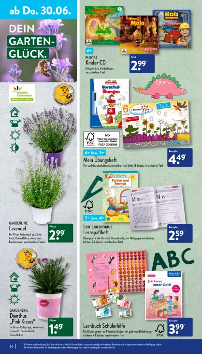 Dianthus „Pink Kisses“