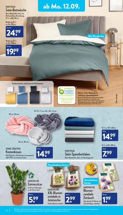 Blumenzwiebeln Zierlauch