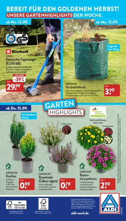 Elektrischer Fugenreiniger BG-EFR 1410