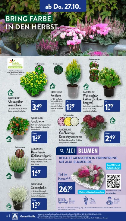 Besenheide (Calluna vulgaris)