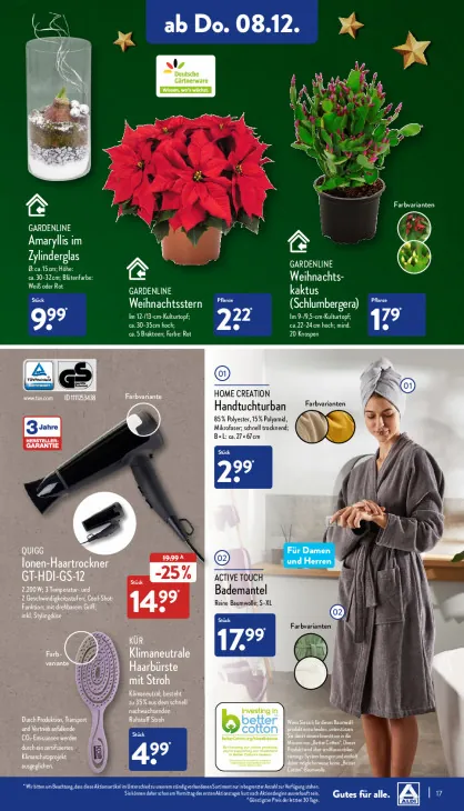 Amaryllis im Zylinderglas