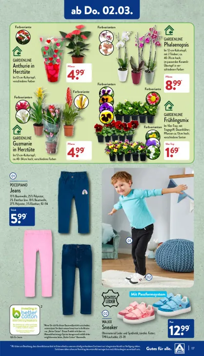 Anthurie in Herztüte