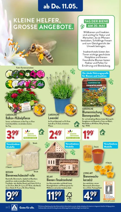 Balkon-/Kübelpflanze