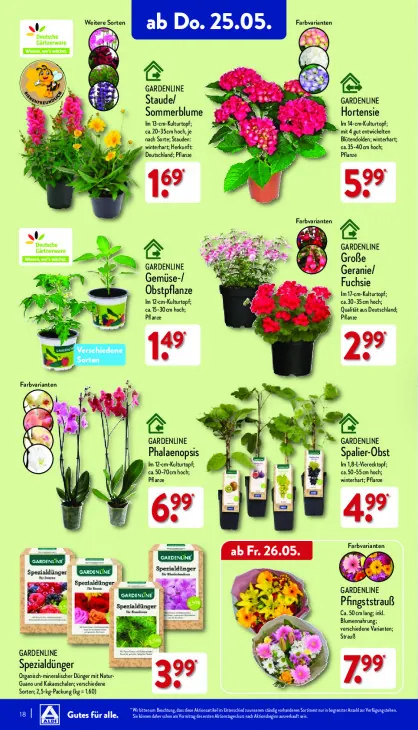 Gemüse-/Obstpflanze