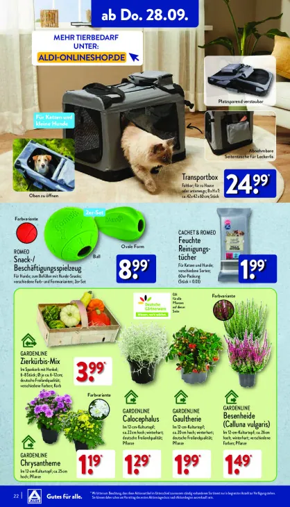 Besenheide (Calluna vulgaris)