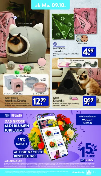 Katzenhöhle/Körbchen