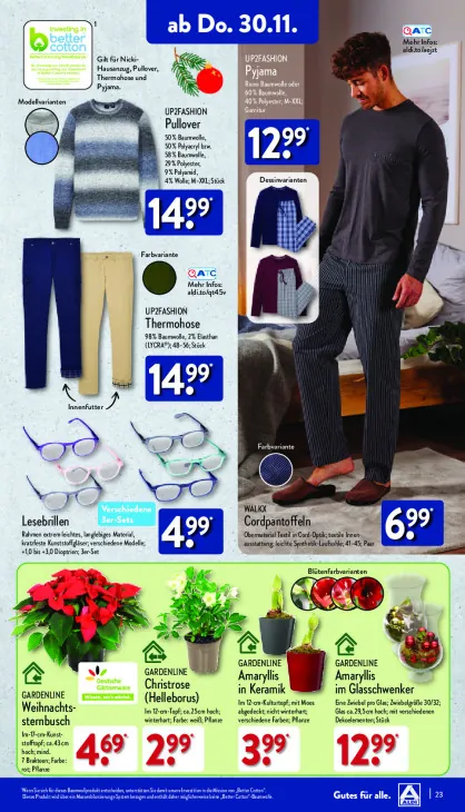 Amaryllis im Glasschwenker