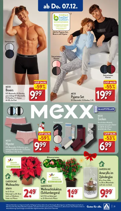 Amaryllis im Zylinderglas