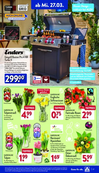 Englische Stiftnarzissen