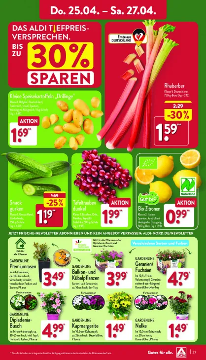 Balkon- und Kübelpflanzen