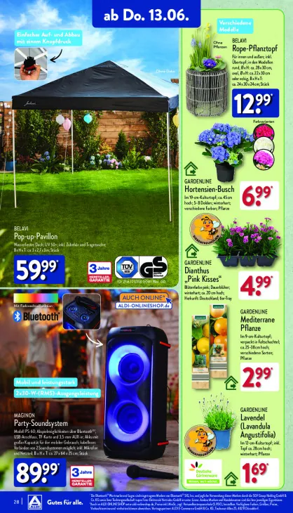 Dianthus "Pink Kisses"