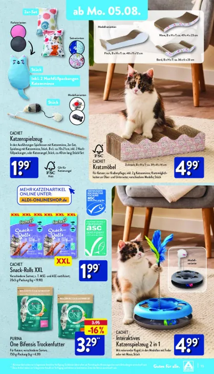 Interaktives Katzenspielzeug 2 in 1