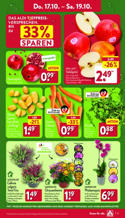 Calluna vulgaris Twin/Trio