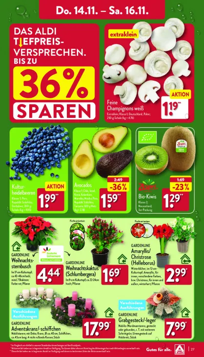 Adventskranz/-schiffchen