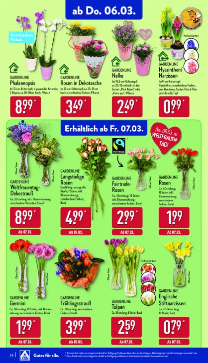 Englische Stiftnarzissen