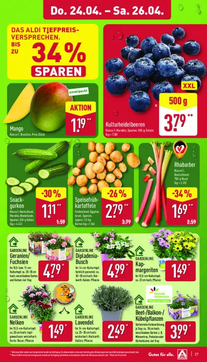 Beet-/Balkon-/Kübelpflanzen