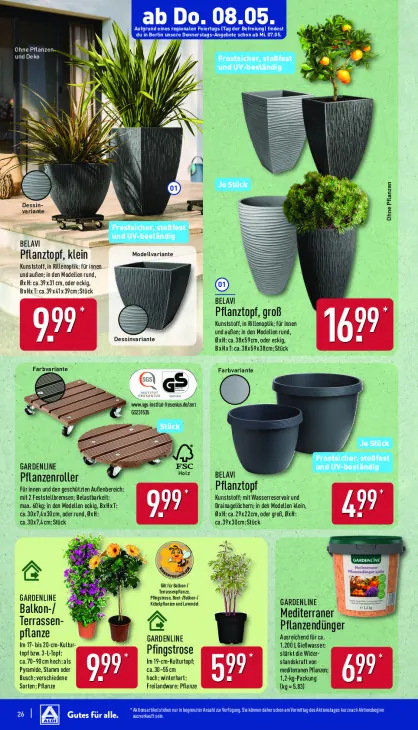 Balkon-/Terrassenpflanze