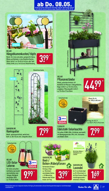 Beet-/Balkon-/Kübelpflanzen