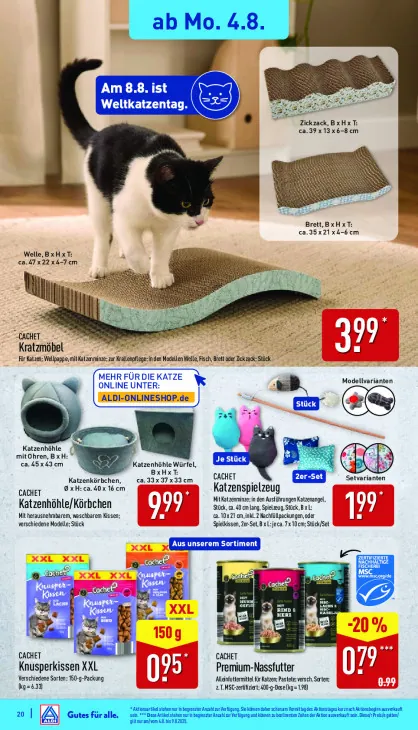 Katzenhöhle/Körbchen