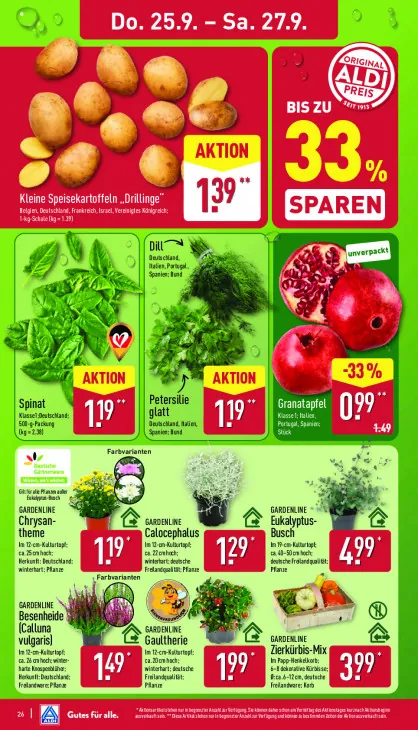 Besenheide (Calluna vulgaris)