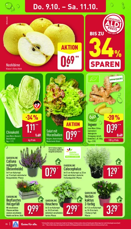 Bepflanztes Holzgefäß