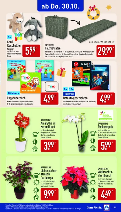 Amaryllis im Keramiktopf