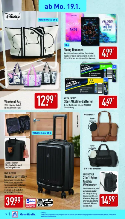 2-in-1-Reisetasche/Weekender