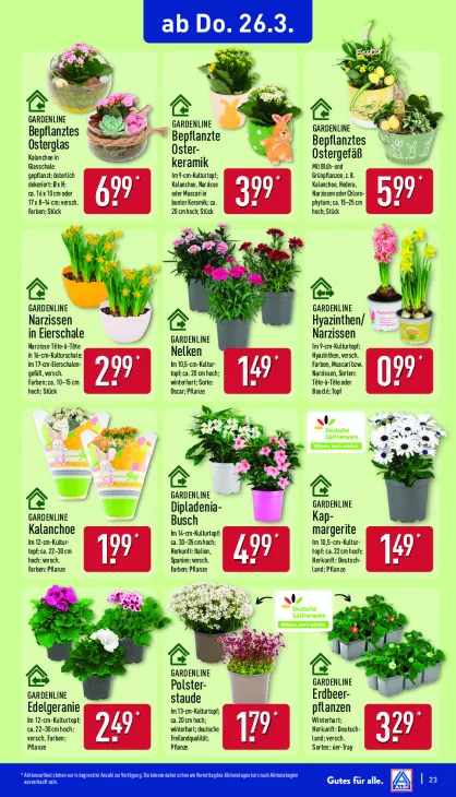 Bepflanzte Osterkeramik