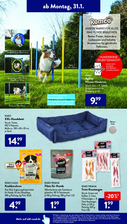 Agility-Fitness-Hindernis