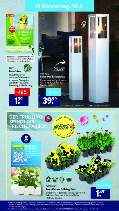 Beetpflanzen Frühlingsfloor