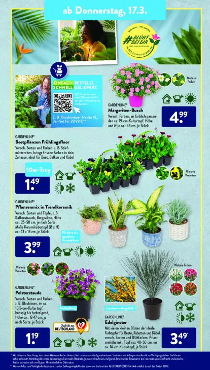 Beetpflanzen Frühlingsfloor