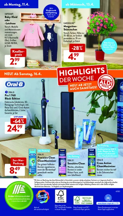 Margeriten-Stämmchen