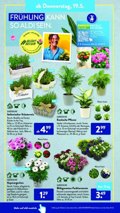 Blühgaranten Farbharmonie