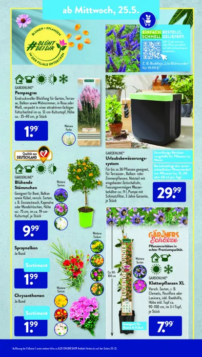 Blühende Stämmchen