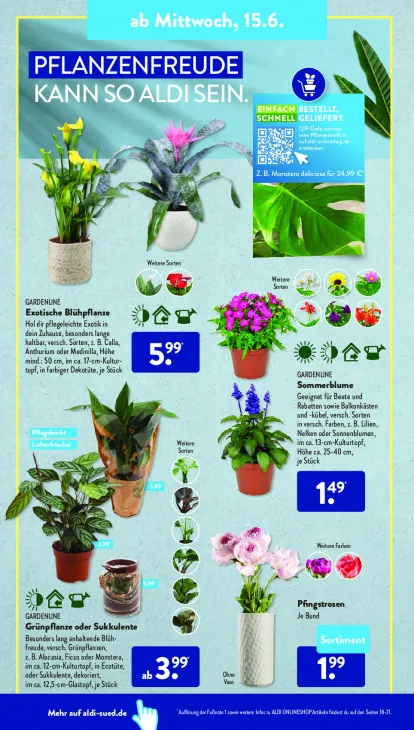 Exotische Blühpflanze