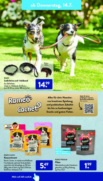 Lederleine und -halsband