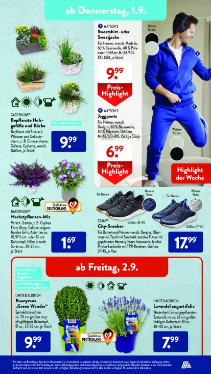 Bepflanzte Holzgefäße und Körbe