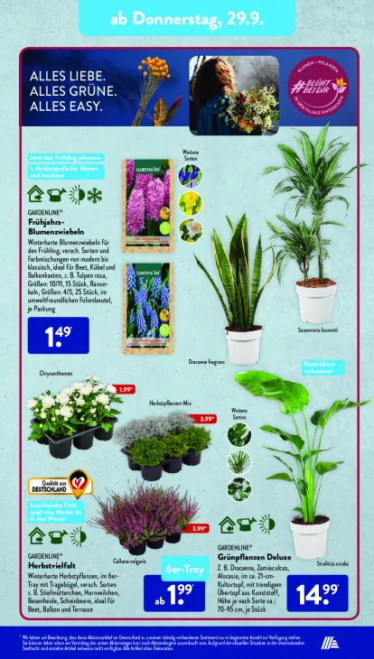 Frühjahrs-Blumenzwiebeln