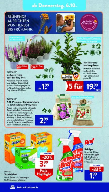 Callunen Twins oder 6er-Tray Trios