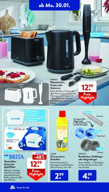 Rostblocker, Kalkfänger oder Magnetkugel