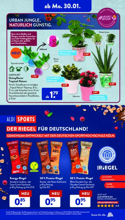 Grünpflanze Tropical Nature