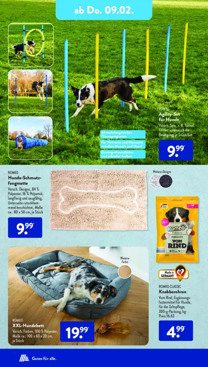 Agility-Set für Hunde