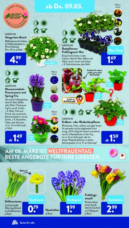 Beetpflanzen Frühlingsmix 10er