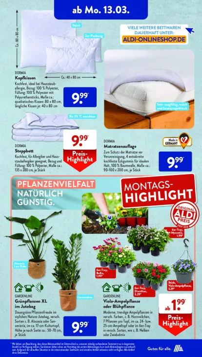 Grünpflanzen XL im Jutebag