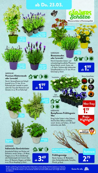 Beetpflanzen Frühlingsmix 10er