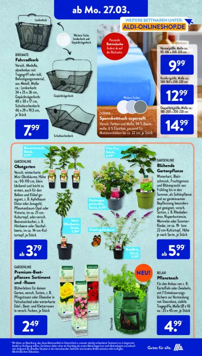 Blühende Gartenpflanze