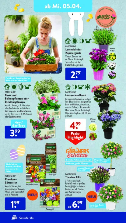 Beet- und Balkonpflanzen oder Strukturpflanzen