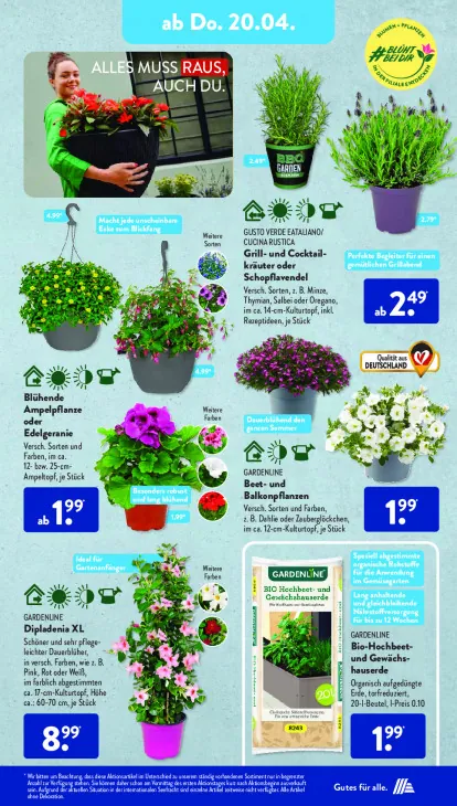 Beet- und Balkonpflanzen